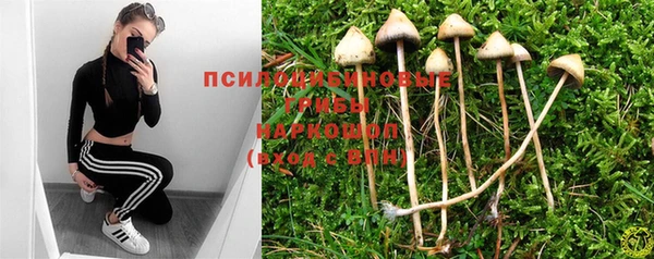 гидропоника Баксан