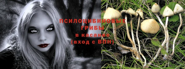 гидропоника Баксан