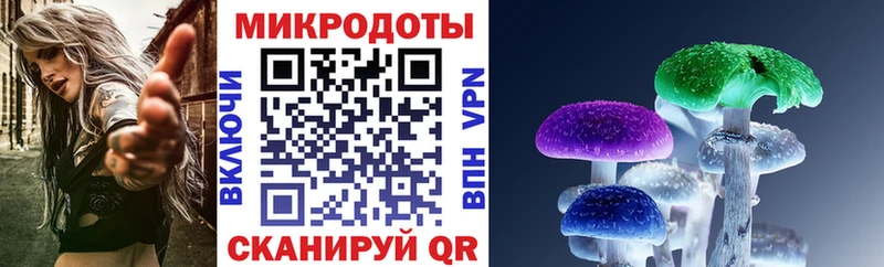 Псилоцибиновые грибы GOLDEN TEACHER  кракен ONION  Весьегонск 